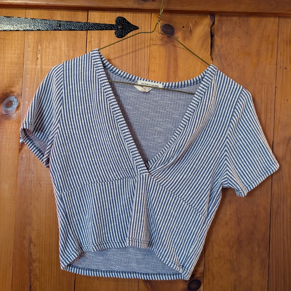 Caution To The Wind Blue Striped Crop Top